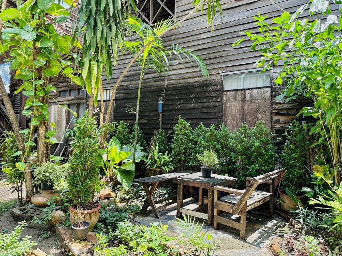 Cozy Nest Cnx Pansiyon Chiang Mai Dış mekan fotoğraf