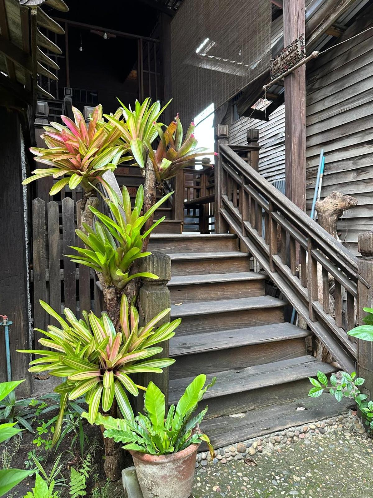 Cozy Nest Cnx Pansiyon Chiang Mai Dış mekan fotoğraf